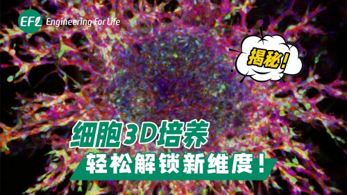 揭秘！細胞3D培養(yǎng)，輕松解鎖新維度！