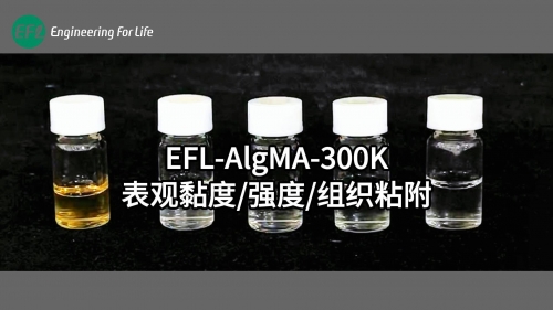 EFL-AlgMA-300K表觀黏度、強度、組織粘附性能展示