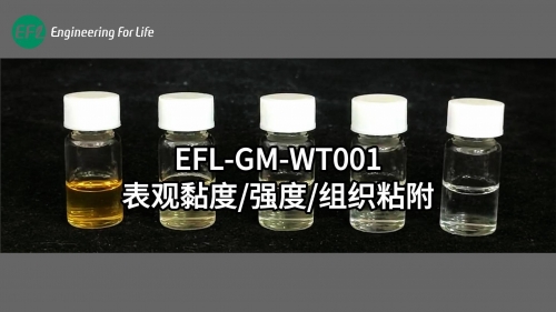 EFL-GM-WT001表觀黏度、強度、組織粘附性能展示