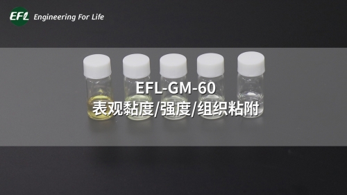 EFL-GM-60 不同濃度下的表觀黏度、強度、組織粘附性能